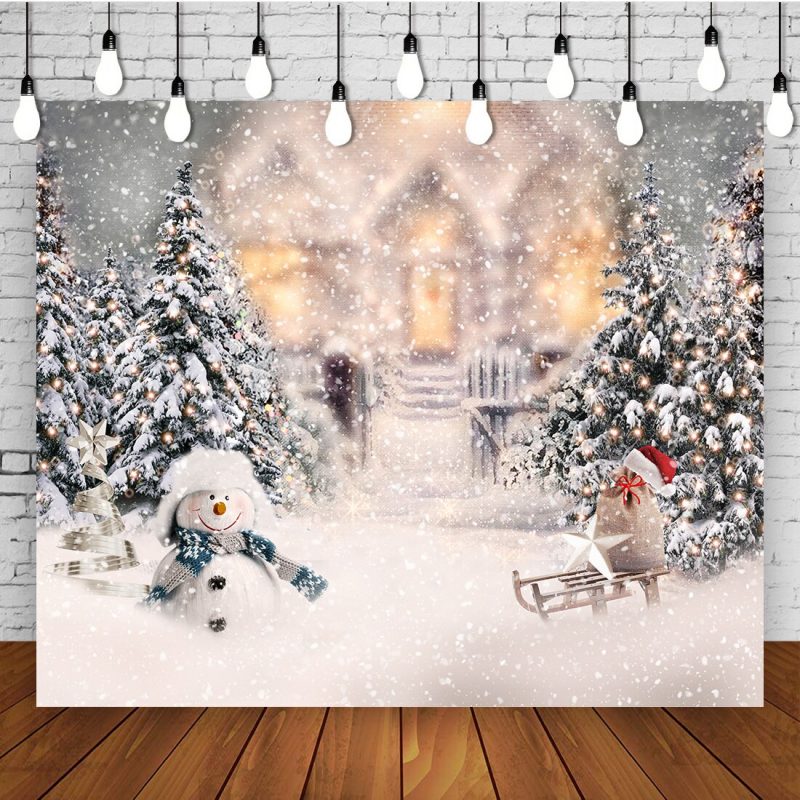 winter photo backdrop