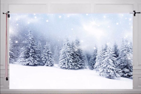 winter photo backdrop