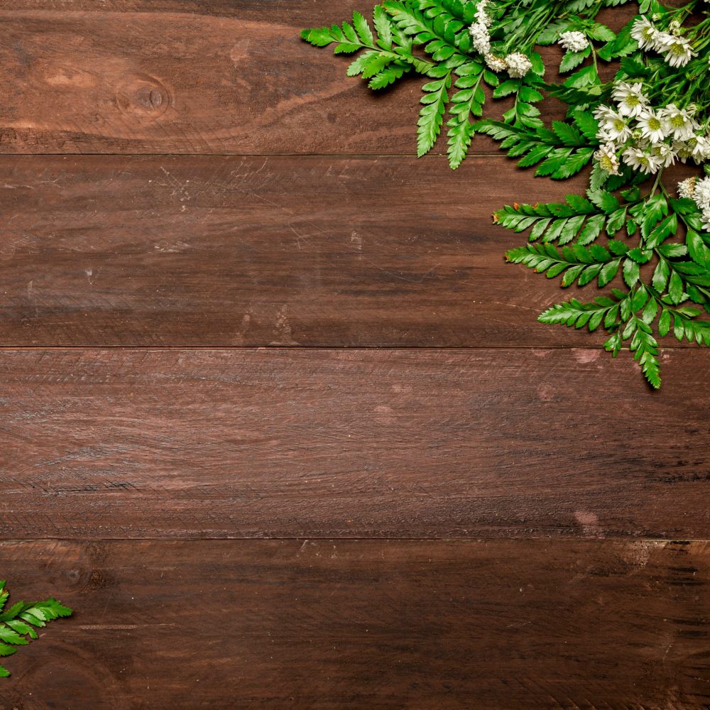 spring photo backdrop