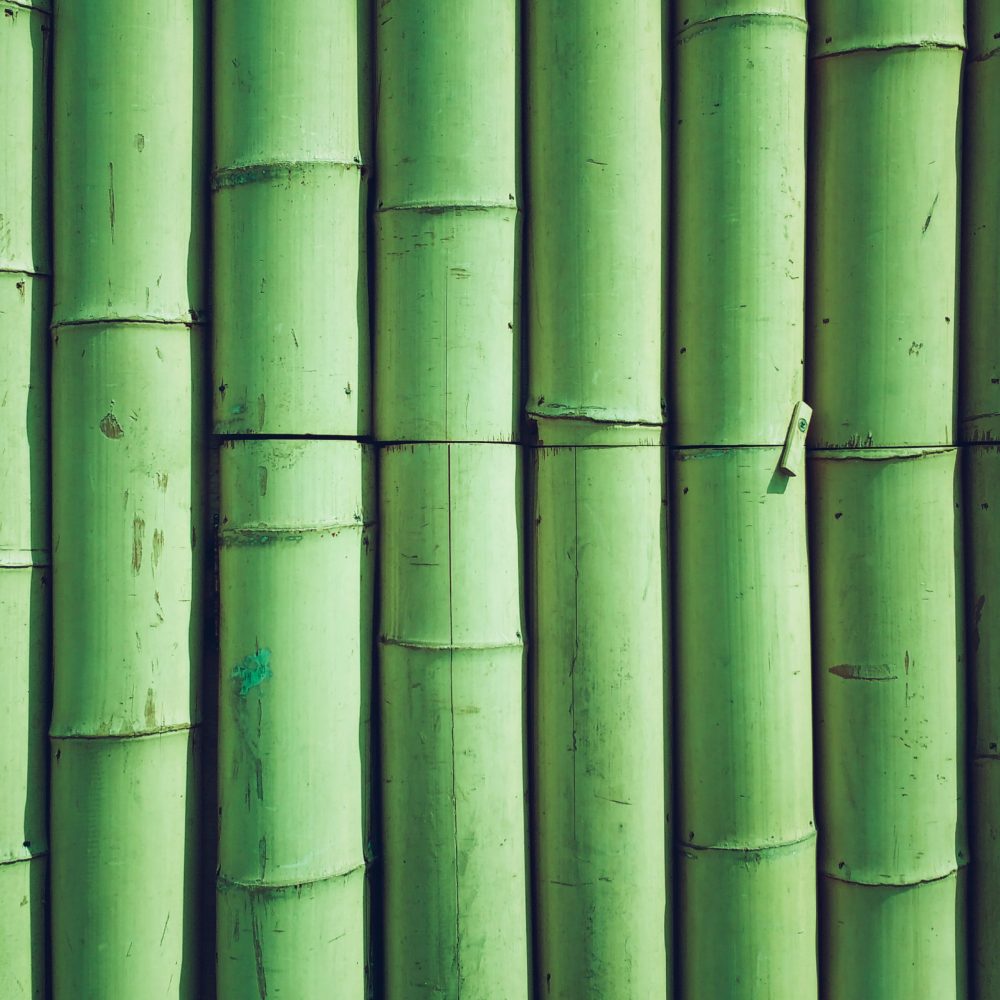bamboo photo backdrop