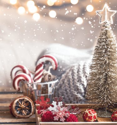 winter photo backdrop