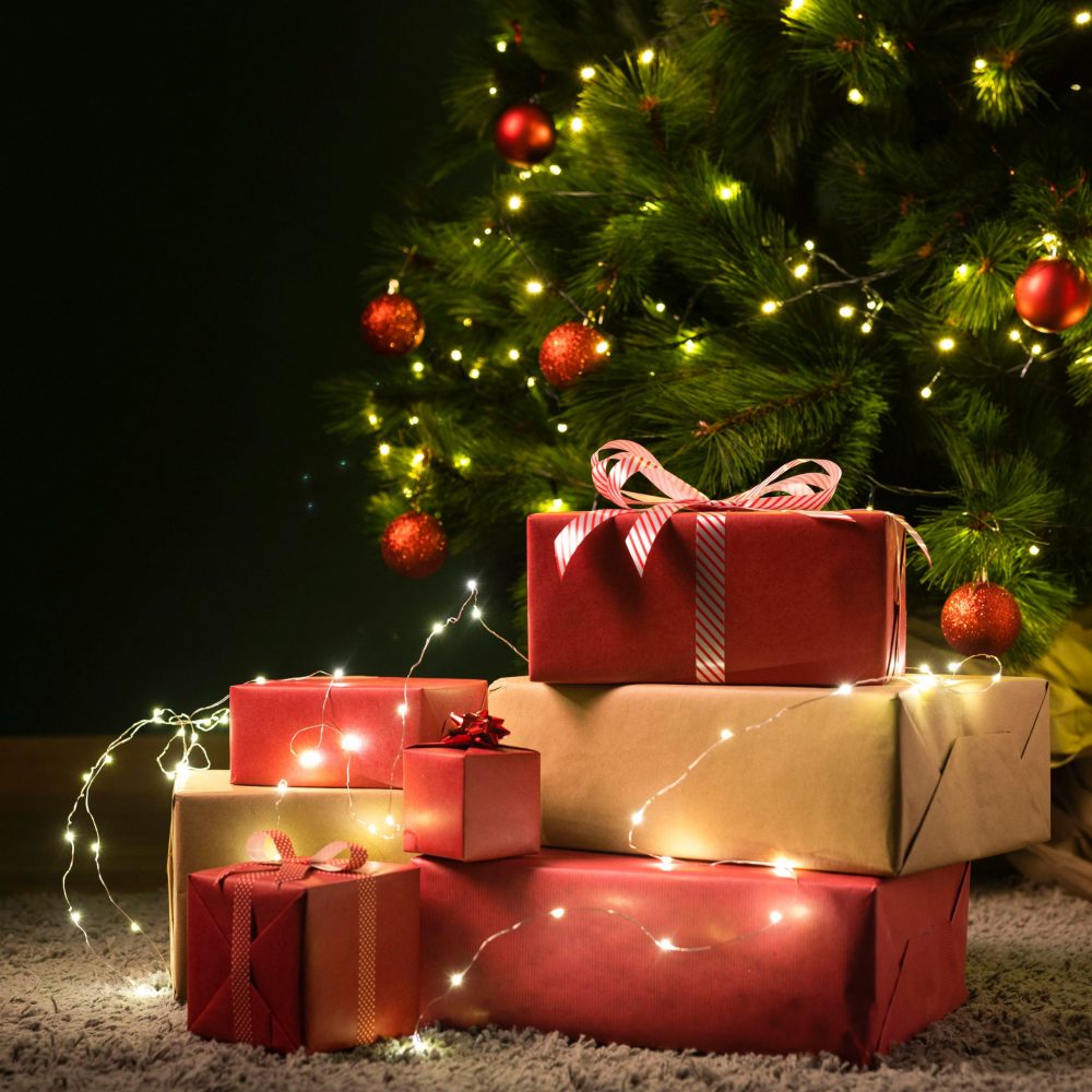 7x7_Winter Backdrop11 christmas photo backdrop