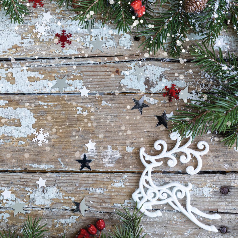 7x7_Winter Backdrop2 winter photo backdrop