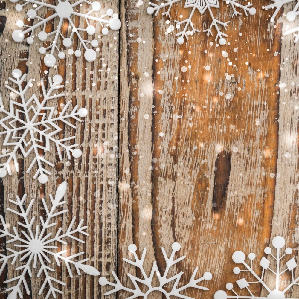 7x7_Winter Backdrop3 winter photo backdrop