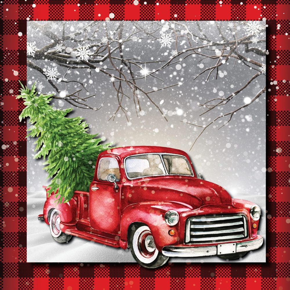 7x7_Winter Backdrop4 winter photo backdrop