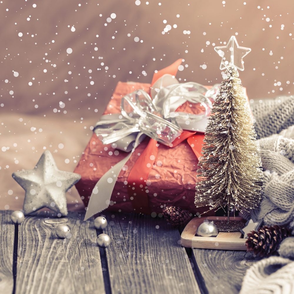 7x7_Winter Backdrop5 winter photo backdrop