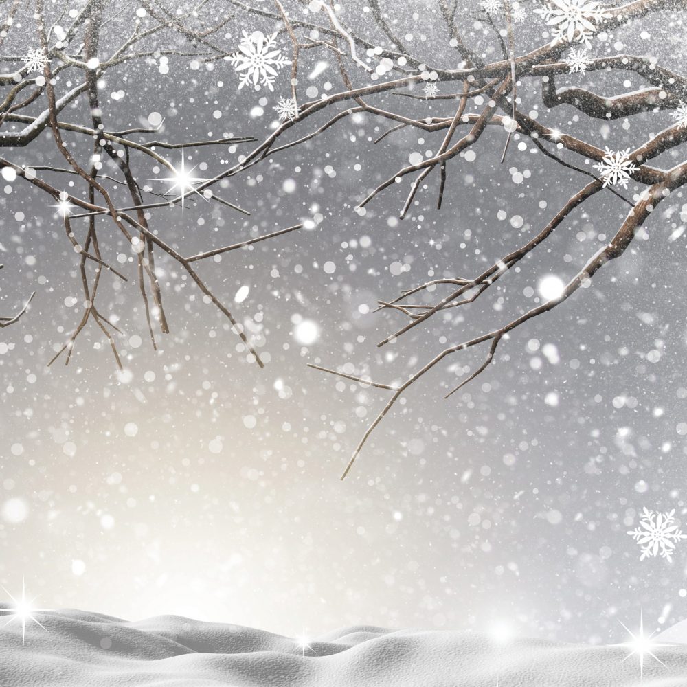 7x7_Winter Backdrop6 winter photo backdrop