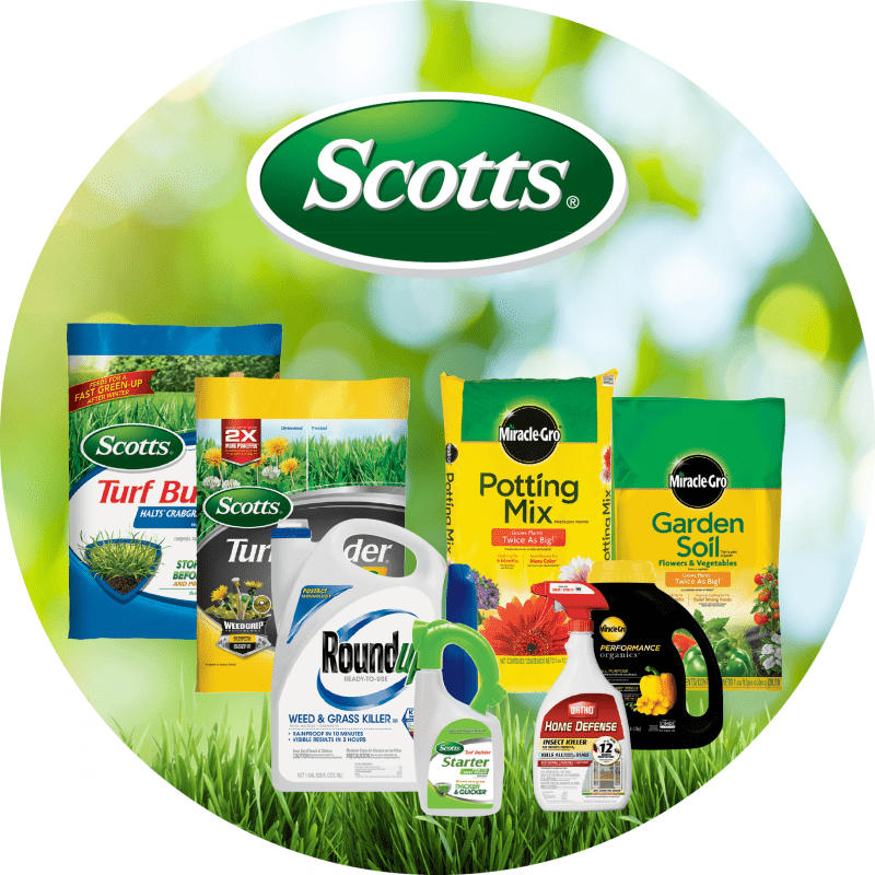 scotts family floor graphic